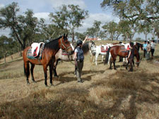 Portugal-Alto Alentejo-Royal Horse Trails